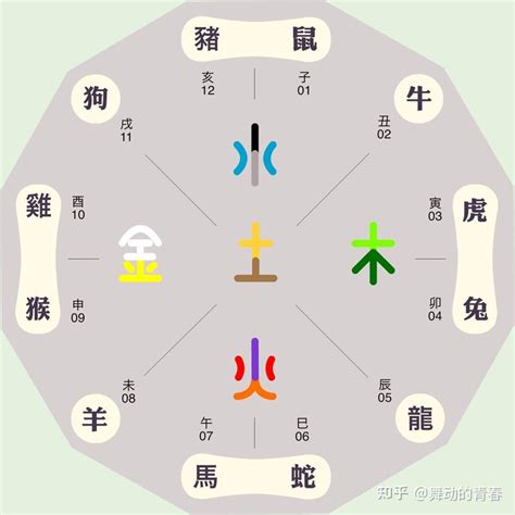 運動五行屬性|五行